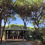 Bella Tents - Vibes